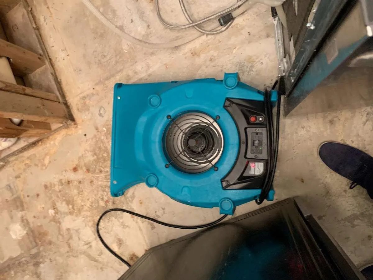 Air mover drying equipment for Mold Remediation & Removal in Avenal